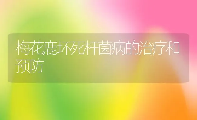 梅花鹿坏死杆菌病的治疗和预防 | 动物养殖学堂