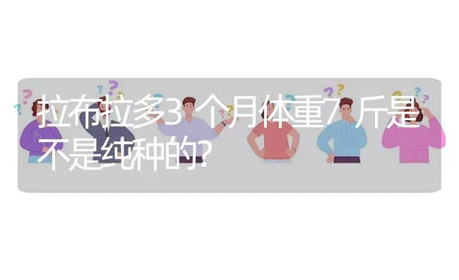 班布迪拉拉裤怎么样？ | 动物养殖问答