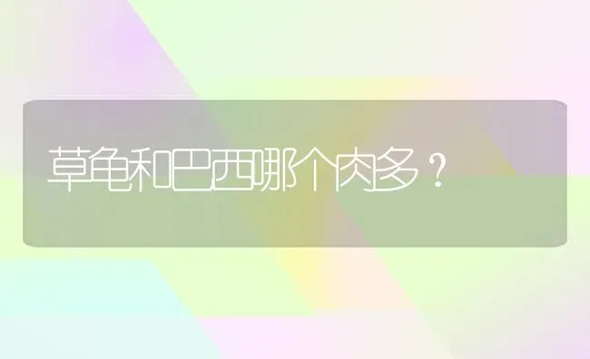 眉清目秀猫咪取什么名字？ | 动物养殖问答