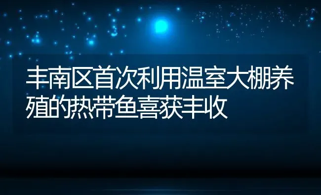 丰南区首次利用温室大棚养殖的热带鱼喜获丰收 | 动物养殖教程