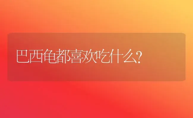 巴西龟都喜欢吃什么？ | 动物养殖问答