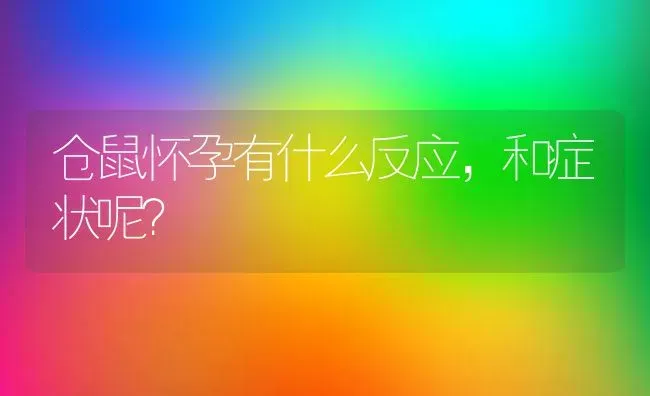 仓鼠怀孕有什么反应，和症状呢？ | 动物养殖问答