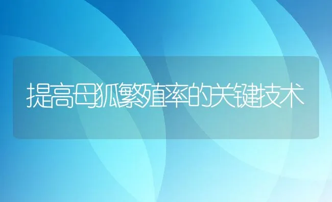 提高母狐繁殖率的关键技术 | 动物养殖学堂