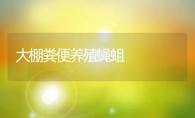 大棚粪便养殖蝇蛆 | 动物养殖教程