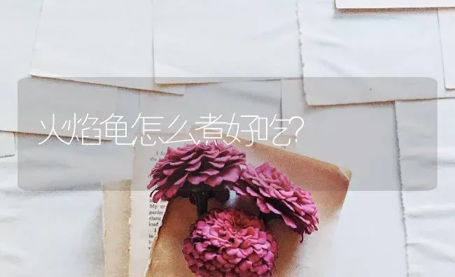 火焰龟怎么煮好吃？ | 动物养殖问答