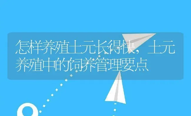 怎样养殖土元长得快，土元养殖中的饲养管理要点 | 动物养殖百科