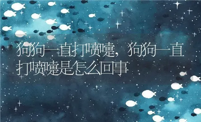 狗狗一直打喷嚏,狗狗一直打喷嚏是怎么回事 | 宠物百科知识