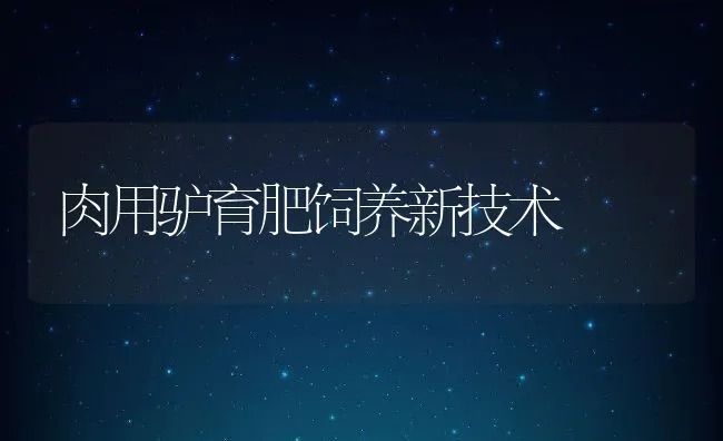 肉用驴育肥饲养新技术 | 动物养殖饲料