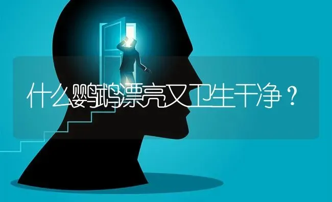 什么鹦鹉漂亮又卫生干净？ | 动物养殖问答