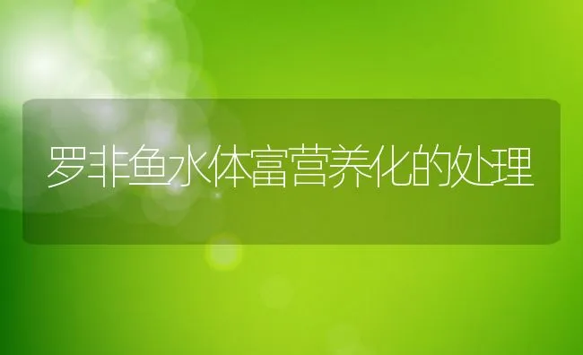 怎样选择优良种兔 | 动物养殖学堂