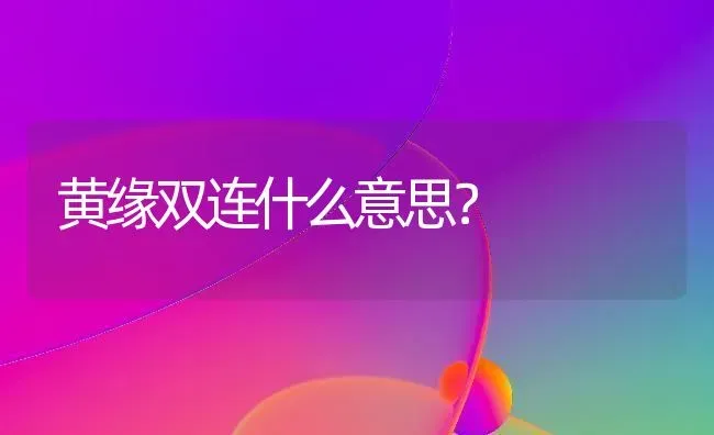 黄缘双连什么意思？ | 动物养殖问答