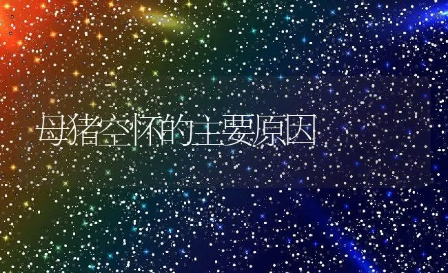 母猪空怀的主要原因 | 动物养殖学堂