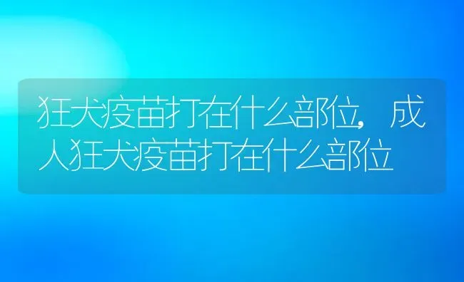 狂犬疫苗打在什么部位,成人狂犬疫苗打在什么部位 | 宠物百科知识