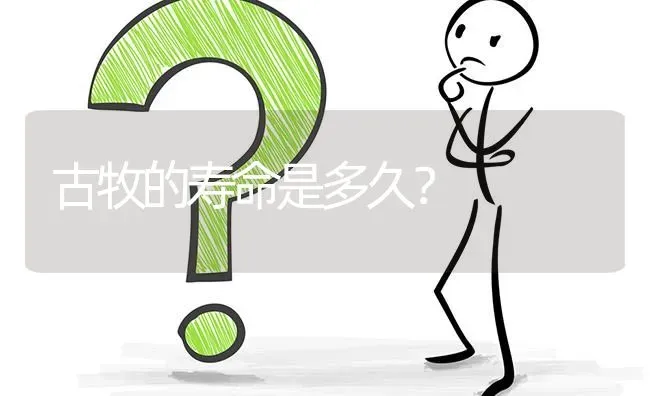 古牧的寿命是多久？ | 动物养殖问答