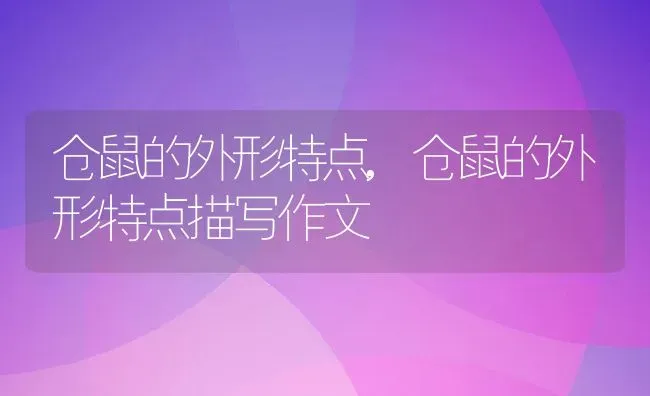 一热身上就刺痒是艾滋,冬天一热身上就刺痒是艾滋 | 宠物百科知识