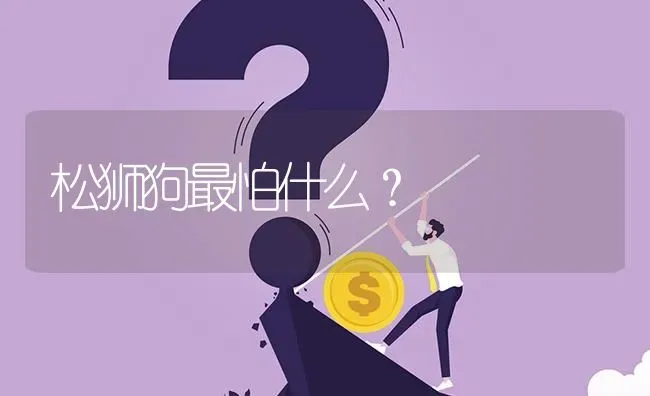 松狮狗最怕什么？ | 动物养殖问答