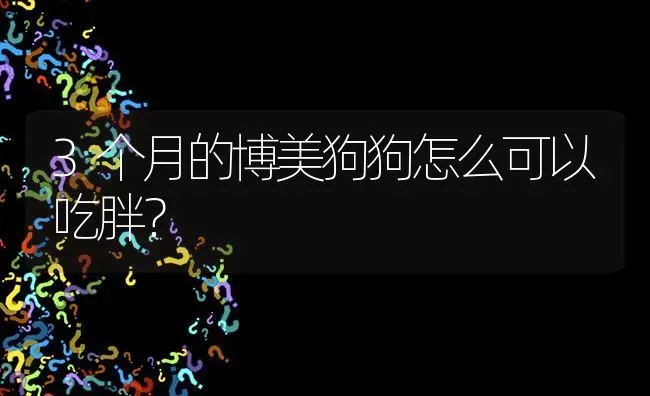 3个月的博美狗狗怎么可以吃胖？ | 动物养殖问答