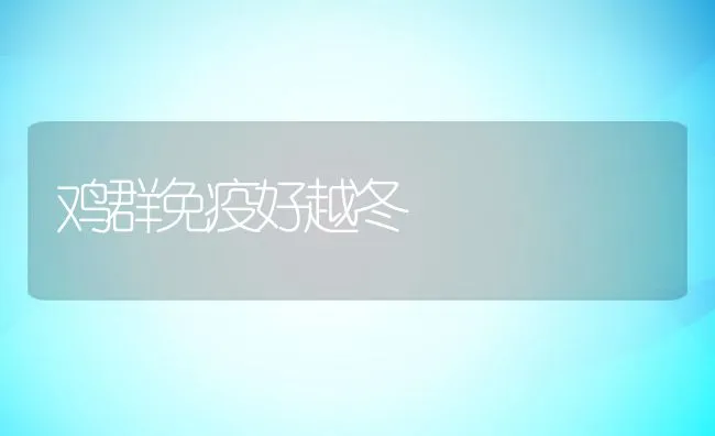 鸡群免疫好越冬 | 动物养殖学堂