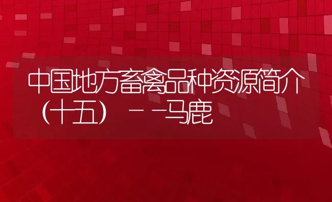 中国地方畜禽品种资源简介（十五）――马鹿 | 水产养殖知识