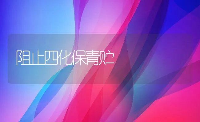 阻止四化保青贮 | 动物养殖学堂