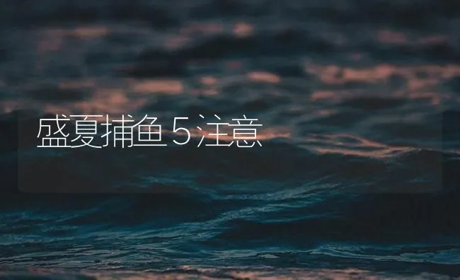 盛夏捕鱼５注意 | 海水养殖技术