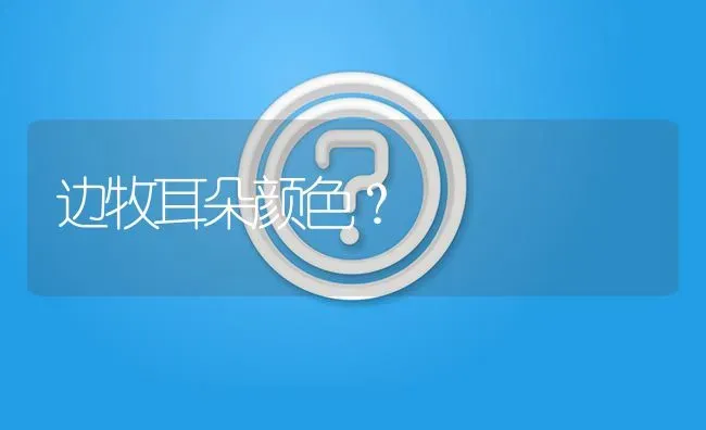 边牧耳朵颜色？ | 动物养殖问答