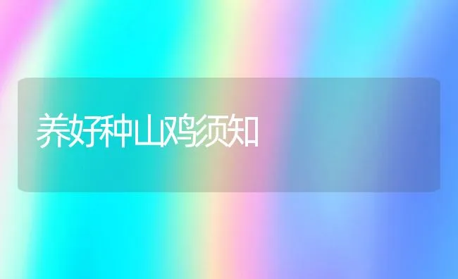 养兔四季的科学管理要点 | 水产养殖知识