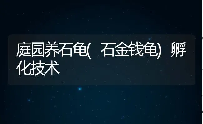 庭园养石龟(石金钱龟)孵化技术 | 动物养殖教程