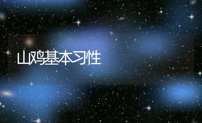 山鸡基本习性 | 动物养殖饲料