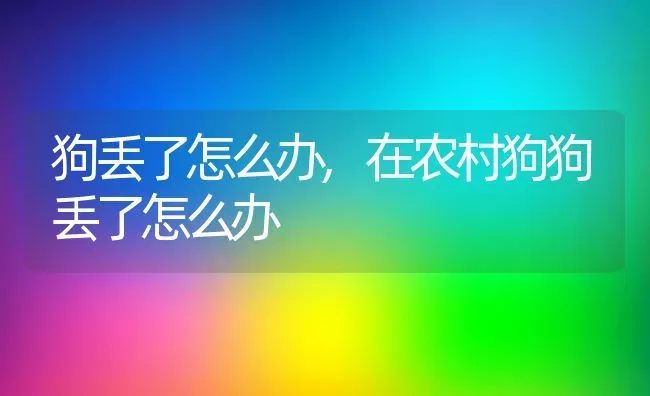 狗丢了怎么办,在农村狗狗丢了怎么办 | 宠物百科知识