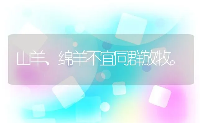 山羊、绵羊不宜同群放牧。 | 动物养殖饲料