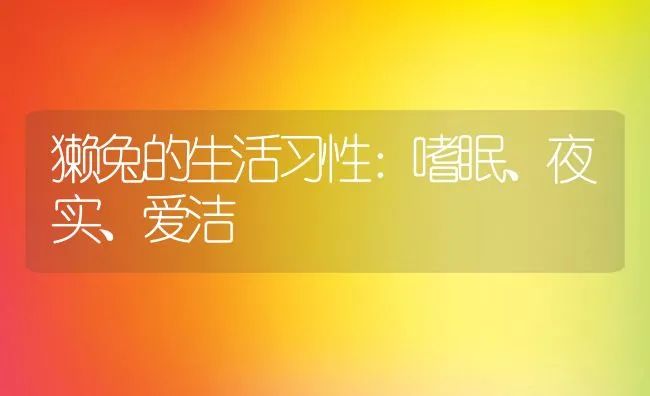 獭兔的生活习性：嗜眠、夜实、爱洁 | 水产养殖知识