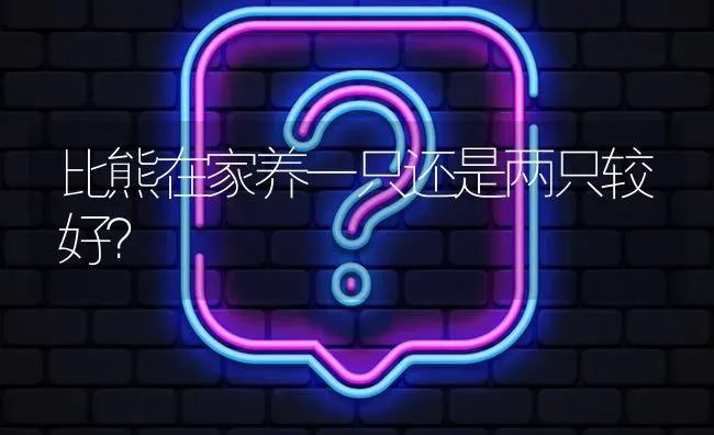 比熊在家养一只还是两只较好？ | 动物养殖问答