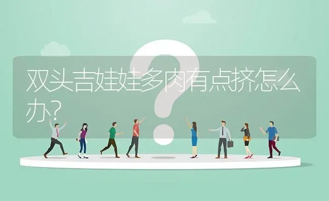 双头吉娃娃多肉有点挤怎么办？ | 动物养殖问答