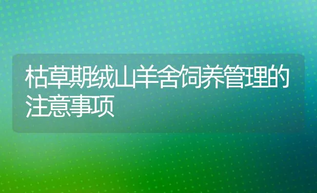 枯草期绒山羊舍饲养管理的注意事项 | 动物养殖饲料