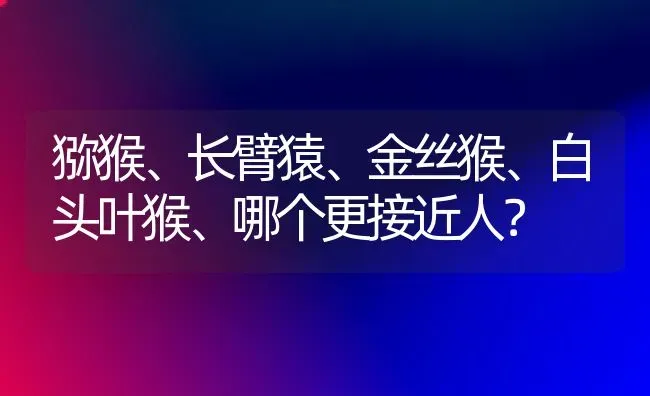 猕猴、长臂猿、金丝猴、白头叶猴、哪个更接近人？ | 动物养殖问答