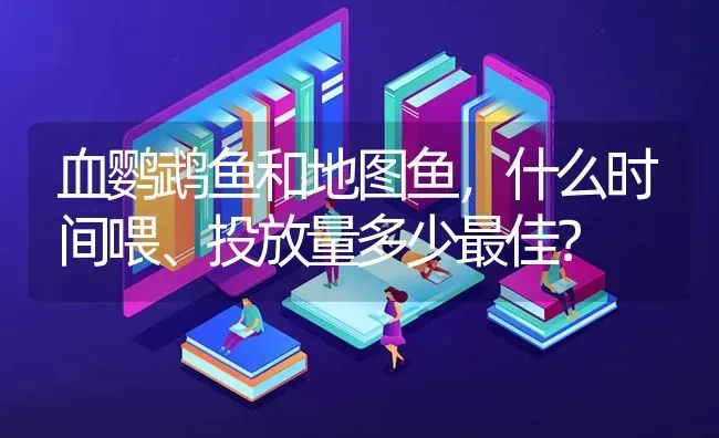 血鹦鹉鱼和地图鱼，什么时间喂、投放量多少最佳？ | 鱼类宠物饲养