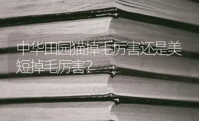 中华田园猫掉毛厉害还是美短掉毛厉害？ | 动物养殖问答