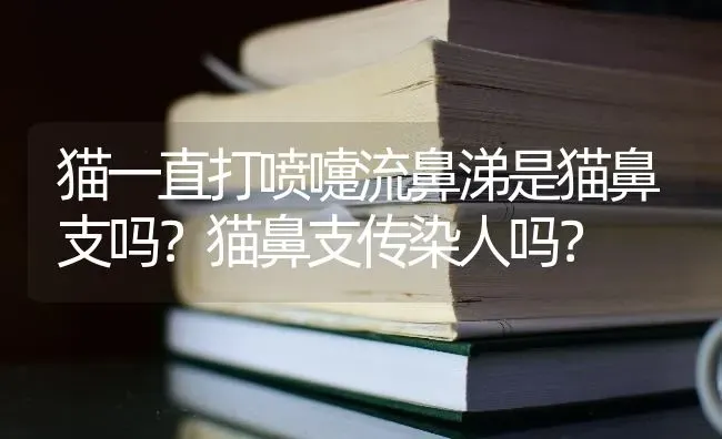 猫一直打喷嚏流鼻涕是猫鼻支吗？猫鼻支传染人吗？ | 动物养殖问答