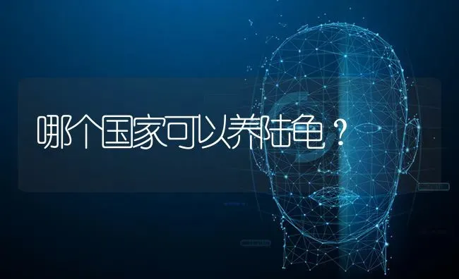 哪个国家可以养陆龟？ | 动物养殖问答