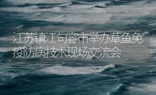 江苏镇江句容市举办草鱼免疫防病技术现场交流会 | 海水养殖技术