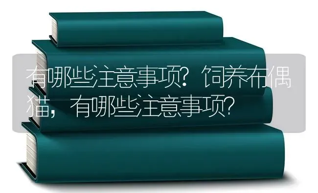 有哪些注意事项?饲养布偶猫，有哪些注意事项？ | 动物养殖问答