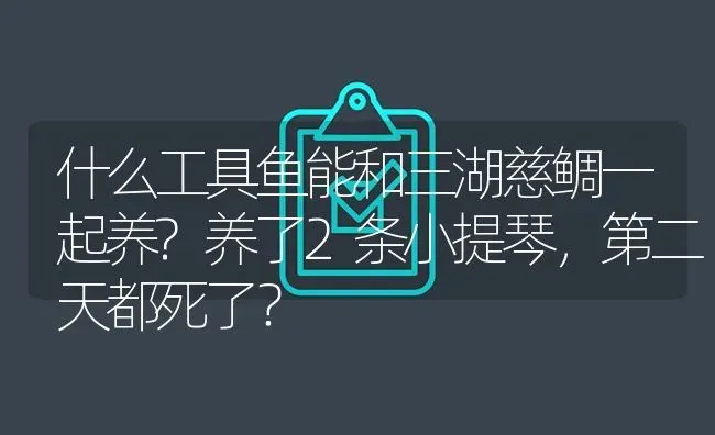 什么工具鱼能和三湖慈鲷一起养?养了2条小提琴，第二天都死了？ | 鱼类宠物饲养