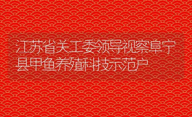 江苏省关工委领导视察阜宁县甲鱼养殖科技示范户 | 动物养殖饲料