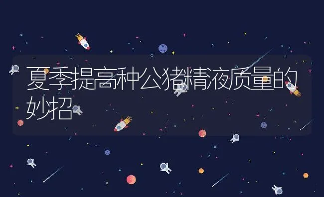 夏季提高种公猪精液质量的妙招 | 动物养殖学堂