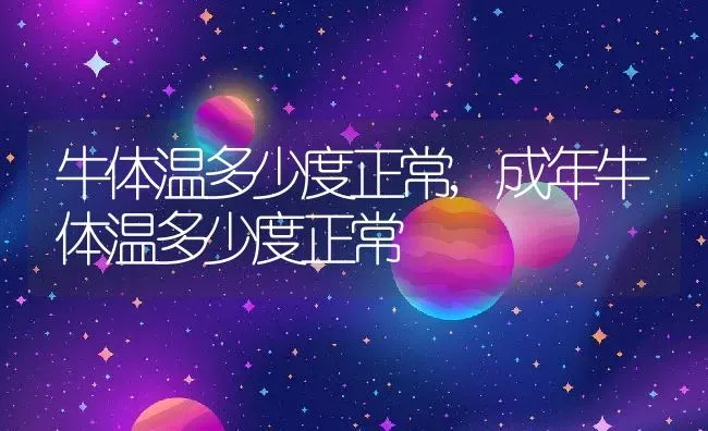 牛体温多少度正常,成年牛体温多少度正常 | 宠物百科知识