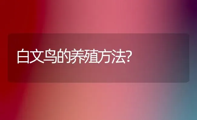 白文鸟的养殖方法？ | 动物养殖问答