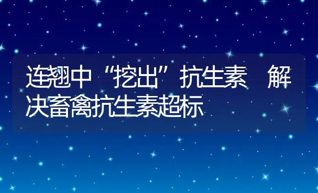 连翘中“挖出”抗生素 解决畜禽抗生素超标 | 动物养殖饲料