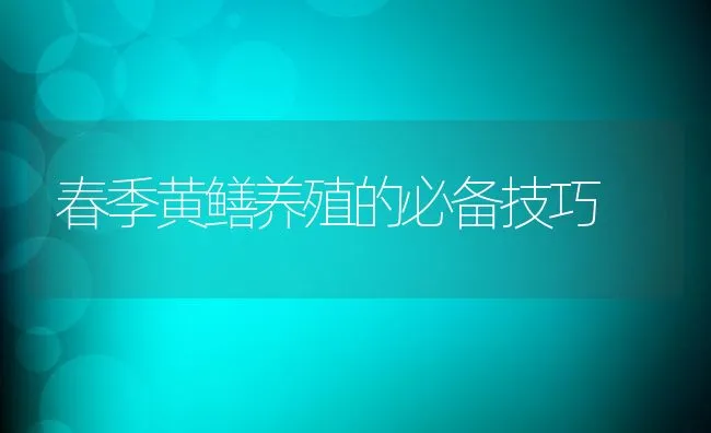 春季黄鳝养殖的必备技巧 | 动物养殖学堂