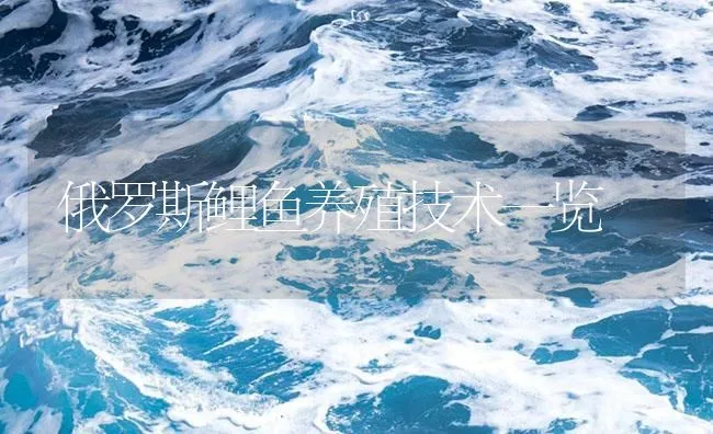 俄罗斯鲤鱼养殖技术一览 | 海水养殖技术